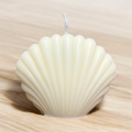 Baby shell 🐚