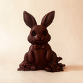 Fondant lapin 🐰