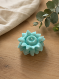 Fleur de brume